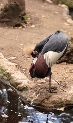 Similar image 12697850