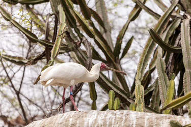 Similar image 12697852