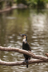 Similar image 12697860