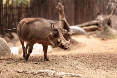 Similar image 12697861