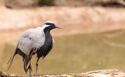 Similar image 12697886