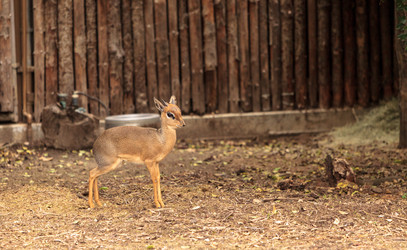 Similar image 12697888