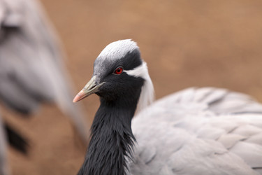 Similar image 12697673