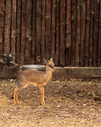 Similar image 12697674