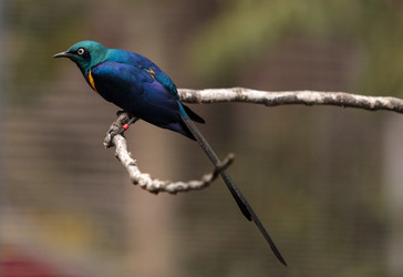 Similar image 12697678