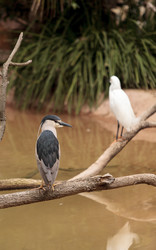 Similar image 12697687