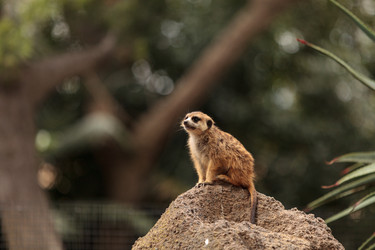 Similar image 12697689