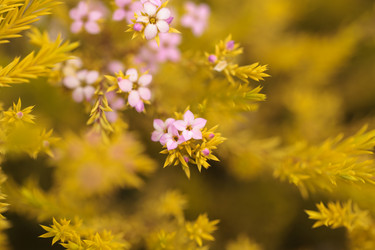 Similar image 12697713