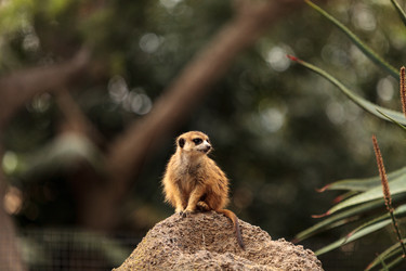 Similar image 12697715