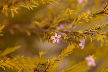 Similar image 12697717