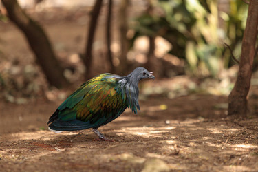 Similar image 12697719