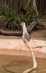 Similar image 12697721