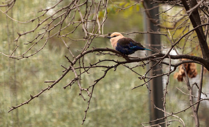 Similar image 12697723