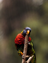 Similar image 12697727