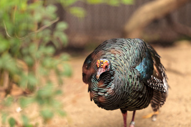 Similar image 12697729