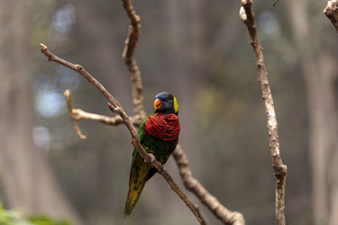 Similar image 12697730