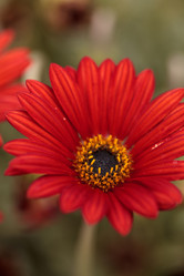 Similar image 12697733