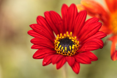 Similar image 12697735