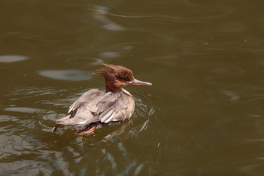 Similar image 12697739