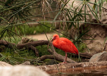 Similar image 12697744