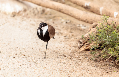 Similar image 12697783