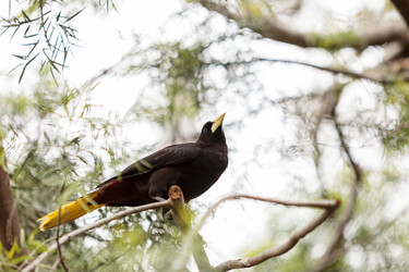 Similar image 12697787