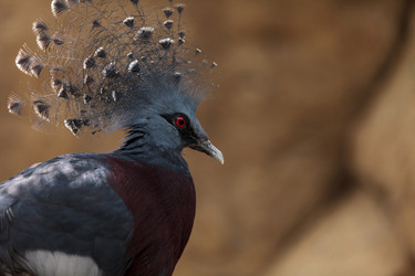 Similar image 12697789