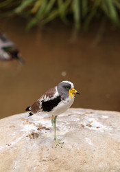 Similar image 12697865