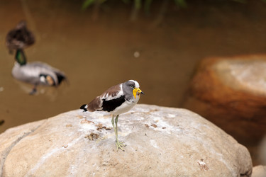 Similar image 12697866