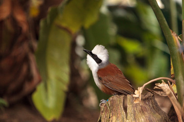 Similar image 12697867