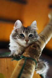 Similar image 12698851