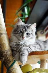 Similar image 12698853