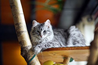 Similar image 12698855