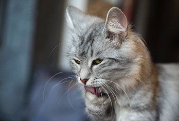 Similar image 12698859