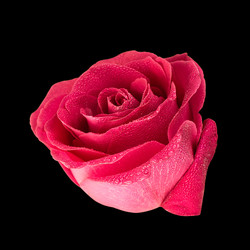 Similar image 12978263