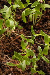 Similar image 12978271