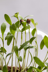 Similar image 12978272