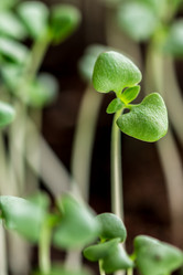 Similar image 12978273