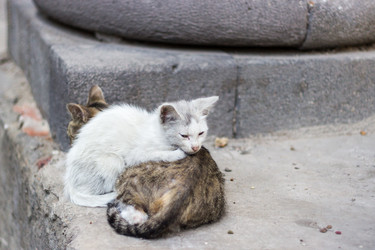 Similar image 12695870