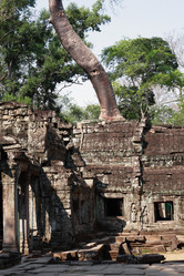 Similar image 12691862