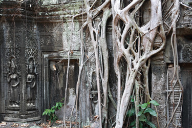 Similar image 12691884