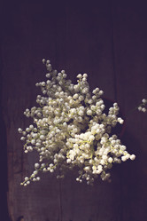 Similar image 12693704