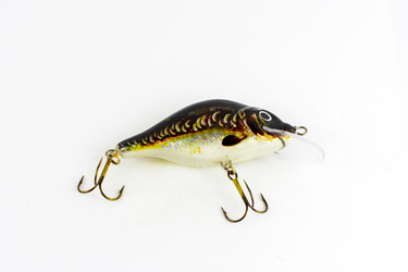 Similar image 12980237