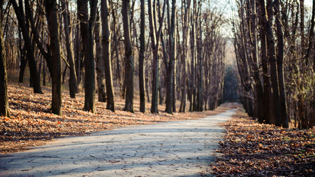 Similar image 12697902