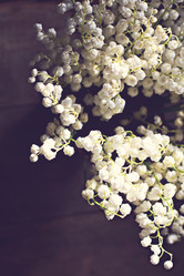 Similar image 12983101