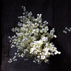 Similar image 12983103