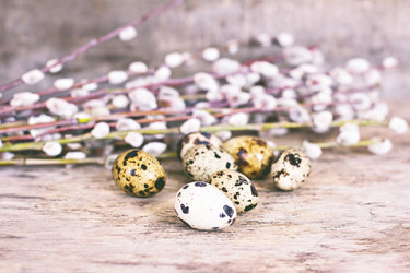 Similar image 12983182