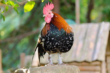 Similar image 12987271