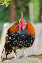 Similar image 12987272