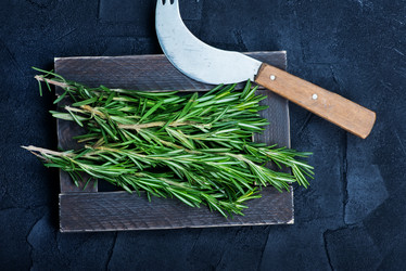 Similar image 12991402